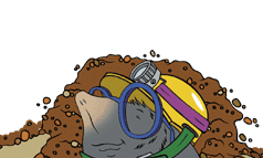 fgmoletop.gif (10270 bytes)