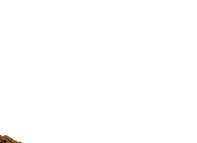 fgtopright.gif (579 bytes)