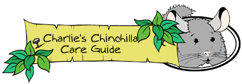 Charlie Chinchilla Care Guide Banner