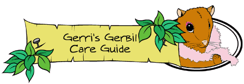 Gerri Gerbil Care Guide Banner