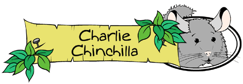 Charlie Chinchilla Banner