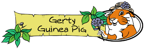 Gerty Guinea Pig